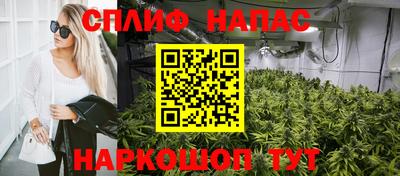 молекула духа Новодвинск