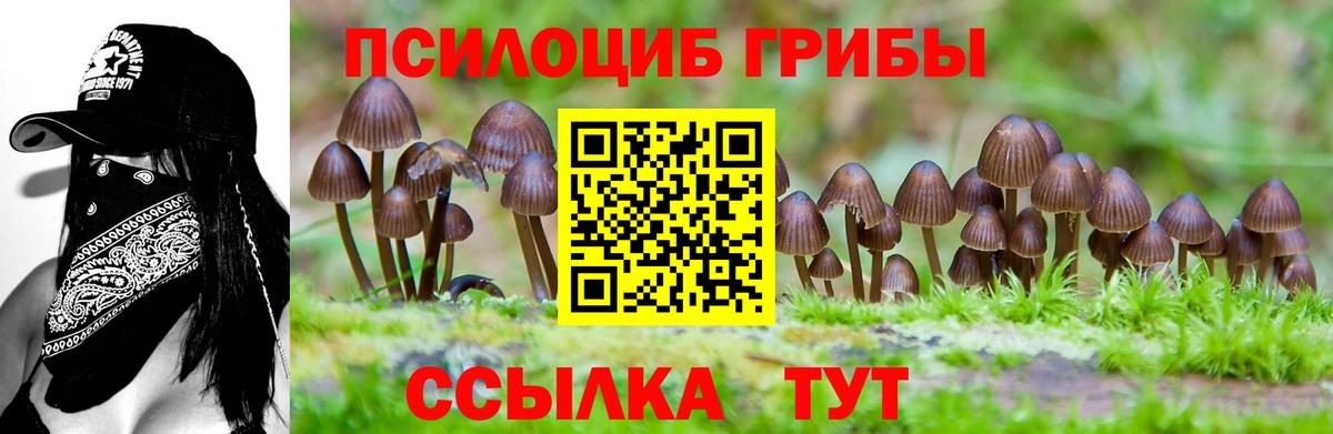 Галлюциногенные грибы GOLDEN TEACHER  Вход с VPN  Галлюциногенные грибы ЛСД  Унеча 